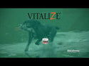 Vitalyze Recovery Gel Digestive Support for Dogs (15 ml)