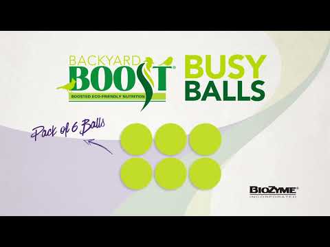 Backyard Boot Busy Balls For Digestion and Gut Health for Chickens (6 balls)