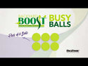 Backyard Boot Busy Balls For Digestion and Gut Health for Chickens (6 balls)