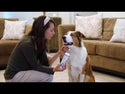 Veterinary Formula Clinical Care Flea & Tick Spray for Dogs (8 oz)