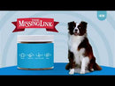 The Missing Link Collagen Care Skin & Coat Soft Chews For Dogs (60 count)