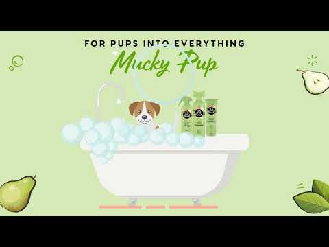 Pet Head Mucky Puppy Gentle and Moisturizing Shampoo (16 oz)