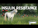 Life Data Insulin R Formula Support Supplement for Horses (11 lb)