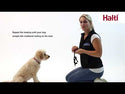 The Company of Animals Halti Optifit For Dogs (Large)