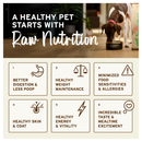 Primal Pet Freeze-Dried Nuggets Rabbit Recipe Raw Dog Food - Dog Food 6