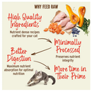 Primal Pet Freeze-Dried Raw Nuggets Turkey Recipe Cat Food - Cat Food 6