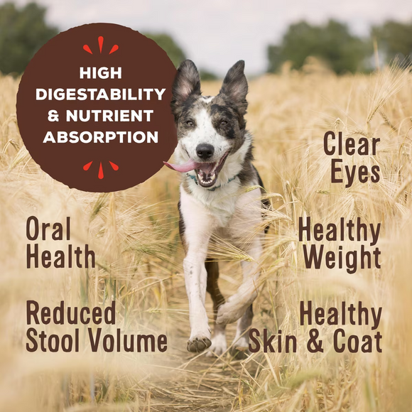 Primal Pet Freeze-Dried Raw Toppers Beef Recipe Cupboard Cuts for Dogs & Cats - Food Topper 8