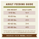 Primal Pet Freeze-Dried Scoopable Pronto Lamb Recipe Raw Dog Food - Dog Food 4