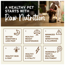 Primal Pet Freeze-Dried Scoopable Pronto Lamb Recipe Raw Dog Food - Dog Food 5