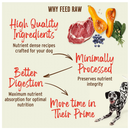 Primal Pet Freeze-Dried Scoopable Pronto Pork Recipe Raw Dog Food - Dog Food 8
