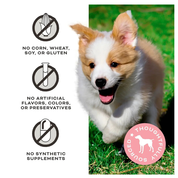 Primal Pet Peelin’ Fantastic! Freeze-Dried Raw Chicken & Banana Treats for Dogs 2-oz - Dog Treats 3
