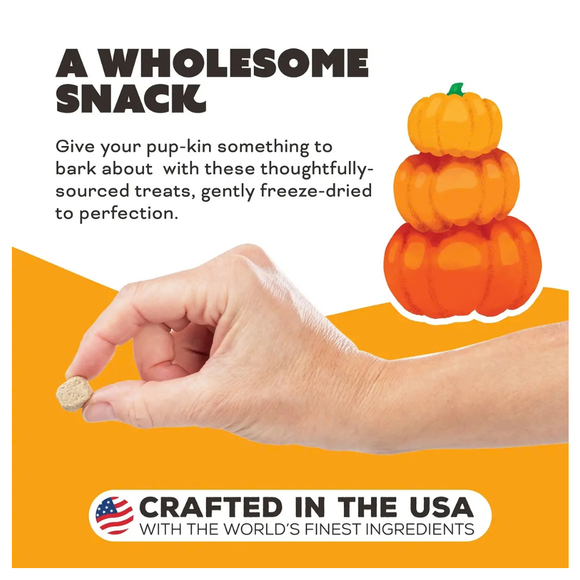 Primal Pet Pumpkin For My Pumpkin! Freeze-Dried Chicken & Pumpkin Raw Treats for Dogs 2-oz - Dog Treats 4