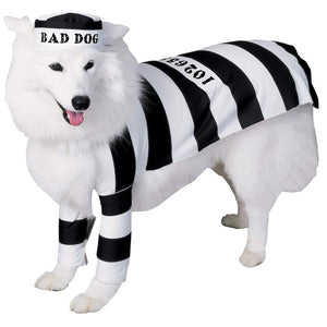 Prisoner Jail Bad Dog Black and White Convict Pet Costume Large Costume.