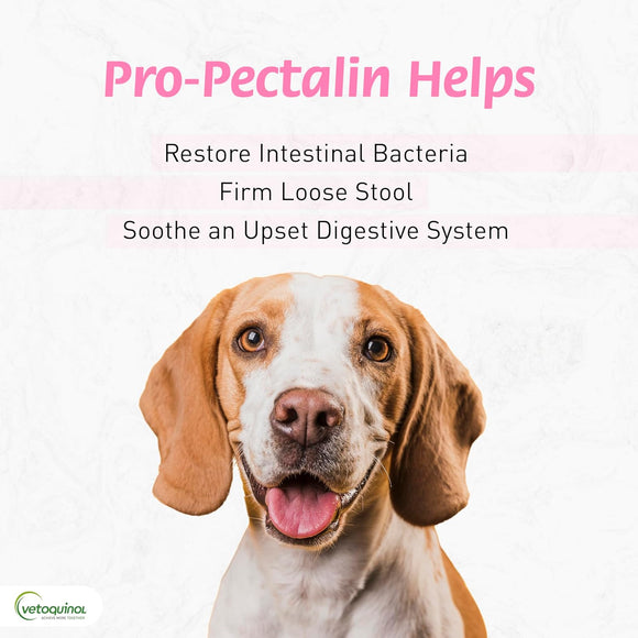 Pro-Pectalin Tablets - Anti Diarrhea Medicine for Dogs & Cats Tablets - Dog Supplements & Vitamins 3
