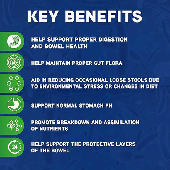Probios Digestive Support Soft Chews for Horses (1.32 lbs)