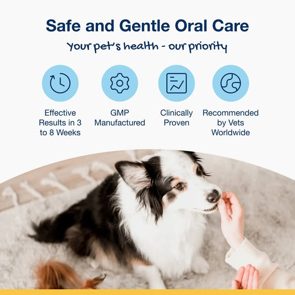 ProDen PlaqueOff Holistic Soft Bites Oral Care Puppy Formula 6-oz - Dog Treats 5