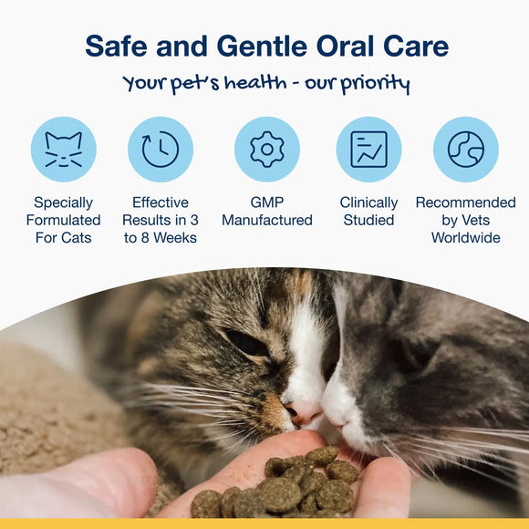 ProDen PlaqueOff Holistic Soft Bites Oral Care Sweet Potato & Chicken Flavor Dental Cat Treats 3-oz - Cat Treats 8