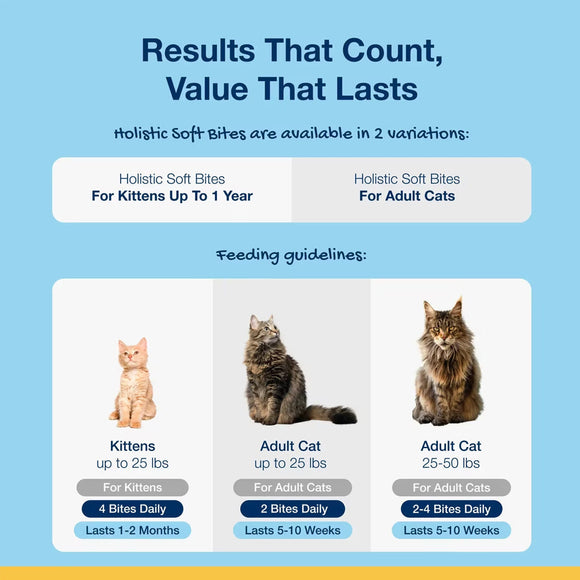 ProDen PlaqueOff Holistic Soft Bites Oral Care Sweet Potato & Chicken Flavor Dental Cat Treats 3-oz - Cat Treats 7
