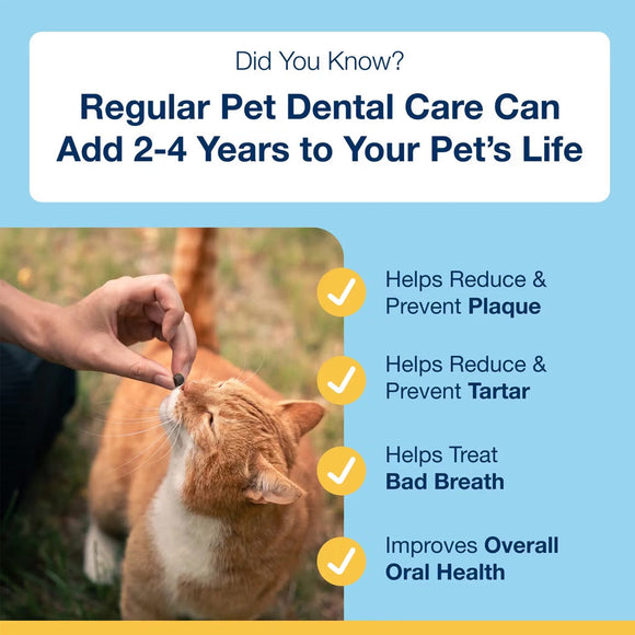 ProDen PlaqueOff Holistic Soft Bites Oral Care Sweet Potato & Chicken Flavor Dental Cat Treats 3-oz - Cat Treats 3