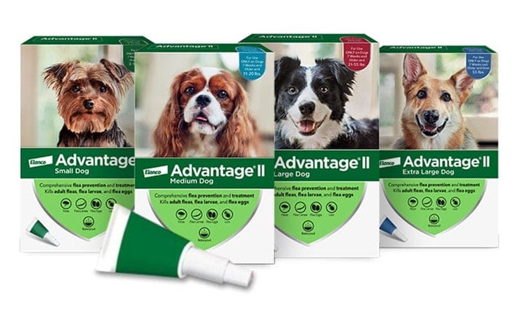 Advantage II for Extra Large Dogs