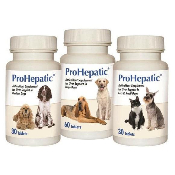 ProHepatic Liver Support Supplement for Cats and Small Dogs - 30 tablets / Cats & Small Dogs - Dog & Cat Supplements &