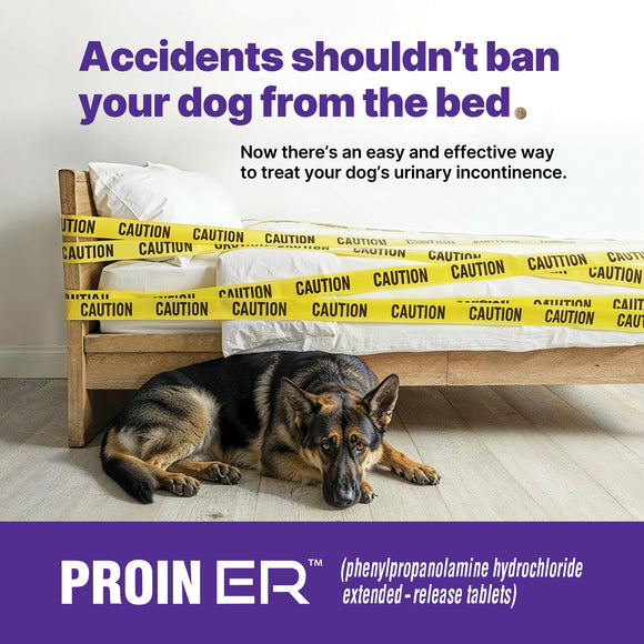 Proin ER Chewable Tablets for Dogs 74 mg - Pet Medicine 3