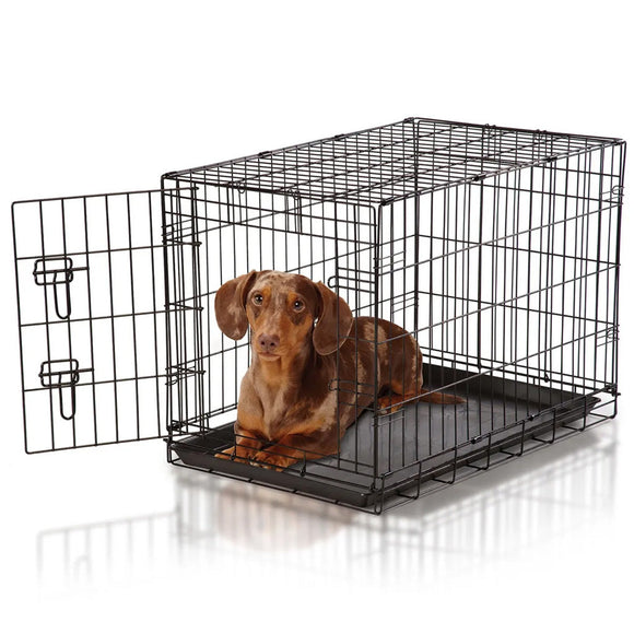 Dog inside a black wire crate on a white background