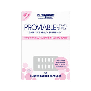 Nutramax Proviable-DC Digestive Health Supplement Multi-Strain Probiotics and Prebiotics for Cats and Dogs - With 7 Strains of Bacteria, 80 Capsules