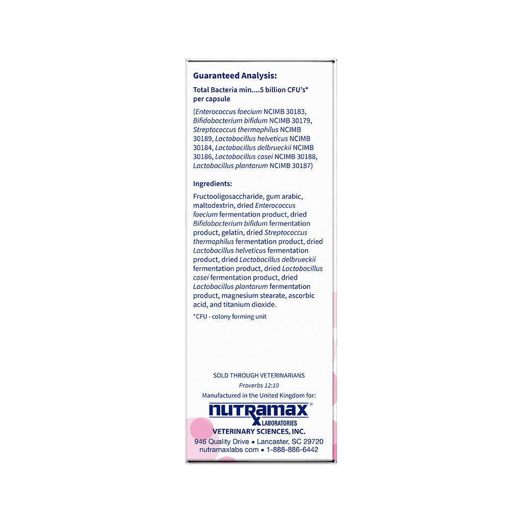 Nutramax Proviable-DC Digestive Health Supplement - Prebiotics and Probiotics for Dogs & Cats