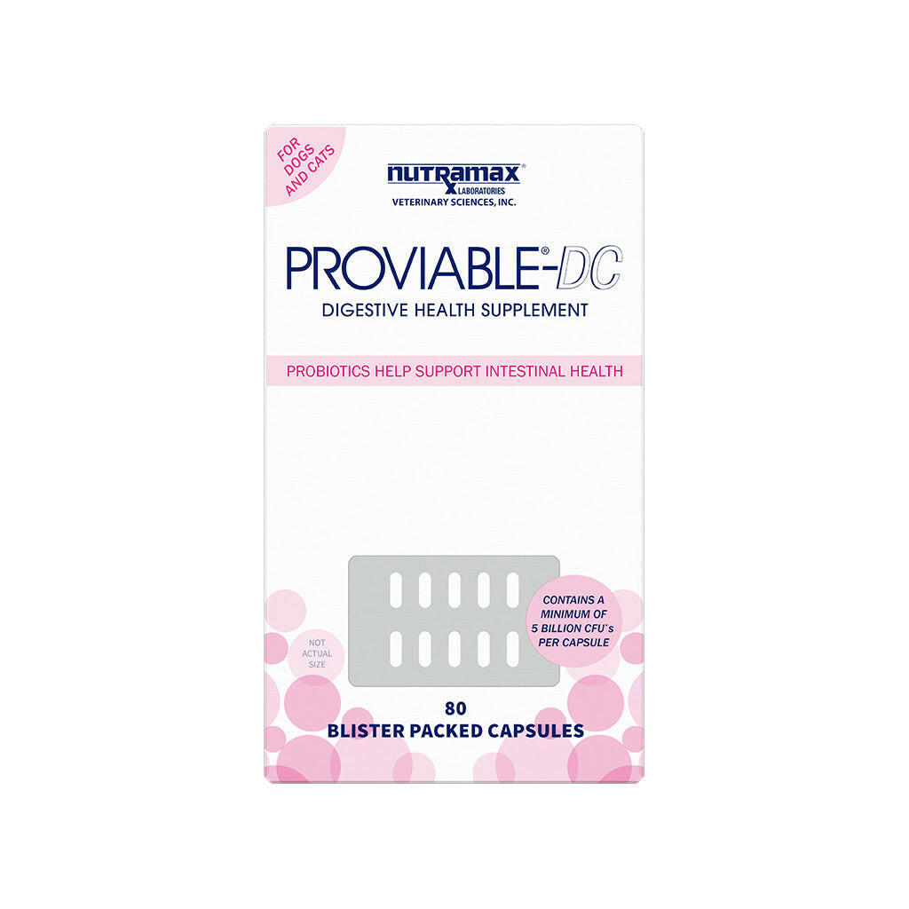 Nutramax Proviable-DC Digestive Health Supplement - Prebiotics and Probiotics for Dogs & Cats