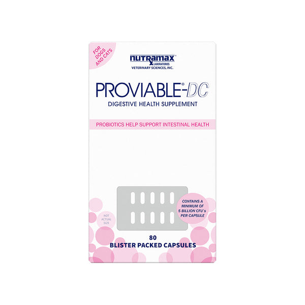 Nutramax Proviable-DC Digestive Health Supplement Multi-Strain Probiotics and Prebiotics for Cats and Dogs - With 7 Strains of Bacteria, 80 Capsules