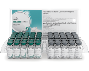 5ml x 25 doses- PureVax Feline 3 RCP Vaccine