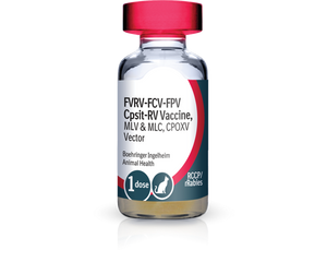 PureVax Feline 4/Rabies (RCCP + rRabies-1YR) Vaccine