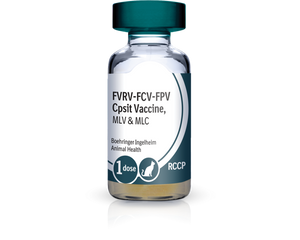 PureVax Feline 4 RCCP Vaccine