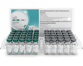 PureVax Feline 3 RCP Vaccine, 0.5ml x 25 doses - 0