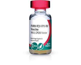 PureVax Feline 3/Rabies (RCP + rRabies-1YR) Vaccine