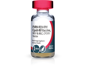 PureVax Feline 4/Rabies (RCCP + rRabies-1YR) Vaccine