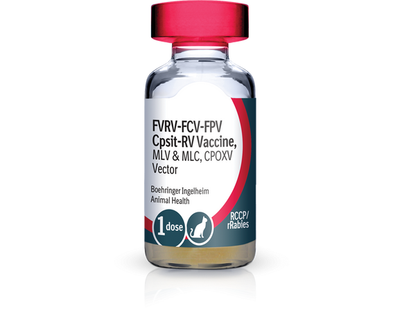 PureVax Feline 4/Rabies (RCCP + rRabies-1YR) Vaccine