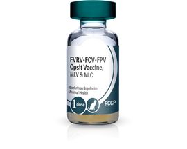 PureVax Feline 4 RCCP Vaccine