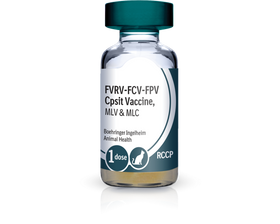 PureVax Feline 4 RCCP Vaccine