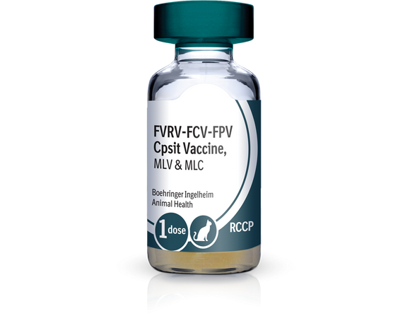 PureVax Feline 4 RCCP Vaccine
