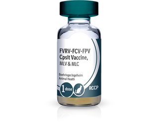 PureVax Feline 4 RCCP Vaccine