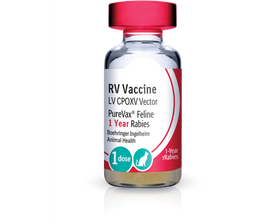 PureVax Feline Rabies 1 year