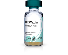 PureVax Recombinant FeLV Feline Leukemia Vaccine