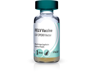 PureVax Recombinant FeLV Feline Leukemia Vaccine