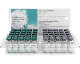 PureVax Feline 4 RCCP Vaccine