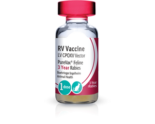 PureVax Feline Rabies 3 Year Vaccine