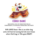 Purina Beggin’ Little Bacon & Cheese Flavor Dog Treats (6 oz) - Dog Treats 6