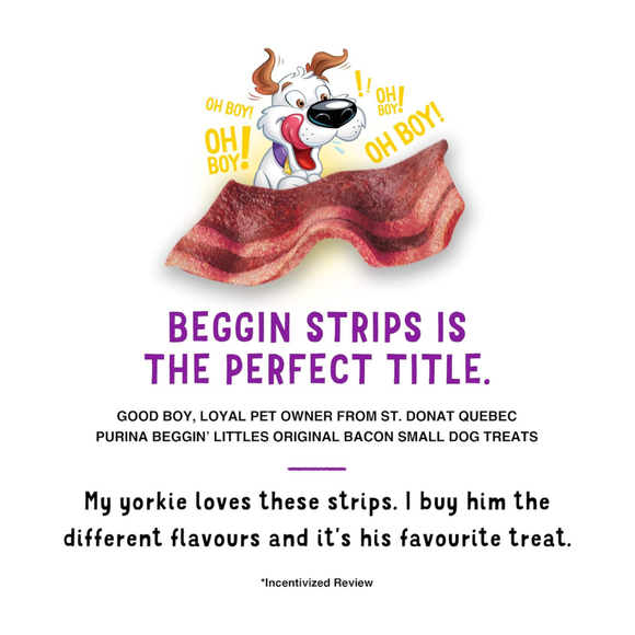 Purina Beggin’ Little Bacon Flavor Dog Treats - Dog Treats 4