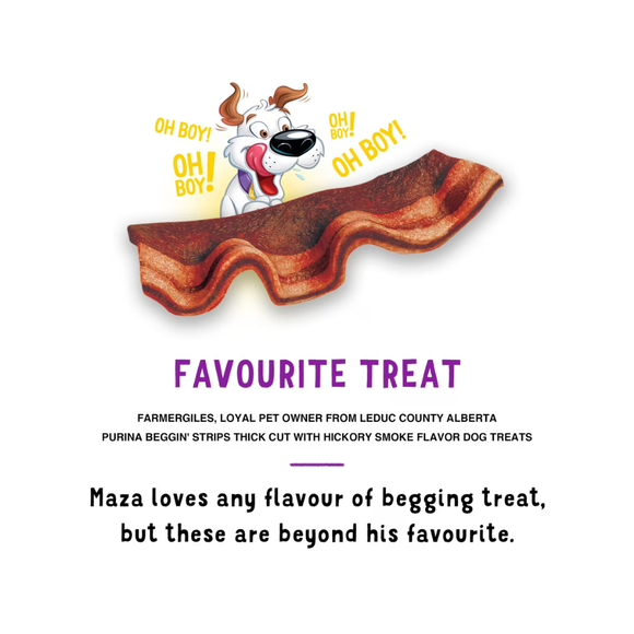 Purina Beggin’ Thick Cut Hickory Smoke Flavor Dog Treats - Dog Treats 6